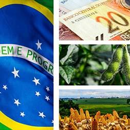 Cover Valdes Brazil Ag Competiteveness Cover image of Brazil's Agricultural Competitiveness: Recent Growth and Future Impacts under Currency Depreciation and Changing Macroeconomic Conditions