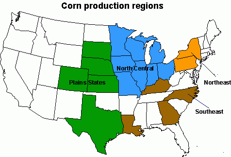 Corn