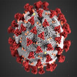 COVID 19 Image of COVID-19 virus