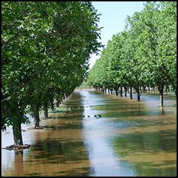 crop disaster assistance.jpg