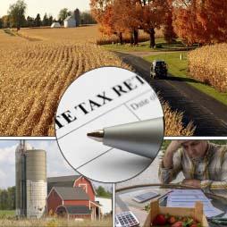 EB31 The Effect On Family Farms Of Changing Capital Gains Taxation At Death Cover image for the The Effect on Family Farms of Changing Capital Gains Taxation at Death report