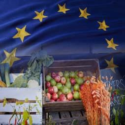 Economic And Food Security Impacts Of Agricultural Input Reduction Under The European Union Green Deal’S Farm To Fork And Biodiversity Strategies Cover image of Economic and Food Security Impacts of Agricultural Input Reduction Under the European Union Green Deal’s Farm to Fork and Biodiversity Strategies