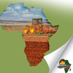 EIB244 Africa's Ag Trade Cover image for Africa’s Agricultural Trade: Recent Trends Leading up to the African Continental Free Trade Area