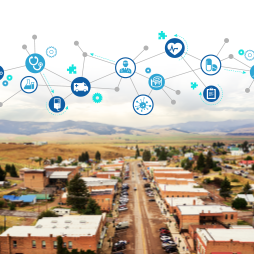 EIB251 Rural Community Capitals And Healthcare Provision Cover image for Linkages Between Rural Community Capitals and Healthcare Provision: A Survey of Small Rural Towns in Three U.S. Regions