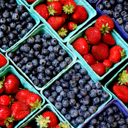 EIB257 Changing Landscape Of US Strawberry And Blueberry Markets Cover image for The Changing Landscape of U.S. Strawberry and Blueberry Markets: Production, Trade, and Challenges from 2000 to 2020