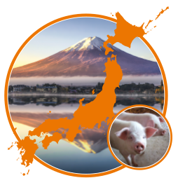 The Impact of Recent Trade Agreements on Japan’s Pork Market_ERR 317 Report cover for The Impact of Recent Trade Agreements on Japan’s Pork Market