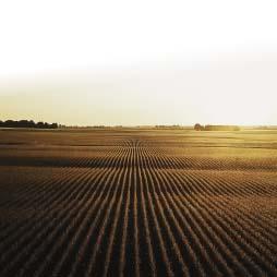 ERR281 Absent Landlords In Agriculture Cover image of Absent Landlords in Agriculture – A Statistical Analysis