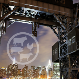 ERR312 US Trade Performance And Position In Global Meat Poultry And Dairy Exports Cover image for U.S. Trade Performance and Position in Global Meat, Poultry, and Dairy Exports