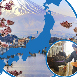 ERR318 Japan Trade Agreements Beef Market Cover image for The Impact of Japan’s Trade Agreements and Safeguard Renegotiation on U.S. Access to Japan’s Beef Market