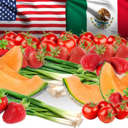 ERR319 Mex Food Safety Modernization Act Cover image for How Mexico’s Horticultural Export Sector Responded to the Food Safety Modernization Act
