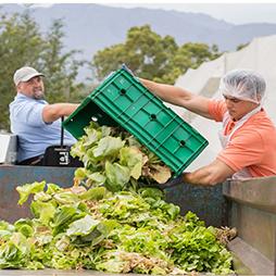 Economic Drivers Of Food Loss At The Farm And Pre Retail Sectors A Look At The Produce Supply Chain In The United States Cover image for Economic Drivers of Food Loss at the Farm and Pre-Retail Sectors: A Look at the Produce Supply Chain in the United States