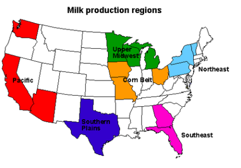 Milk_500x348