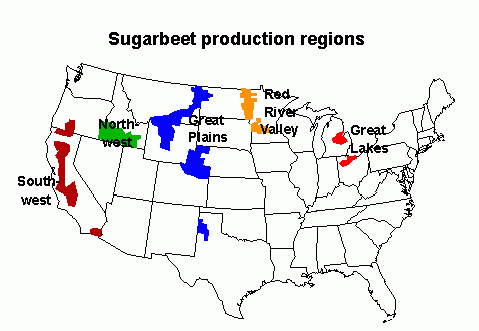 SUGRBEET