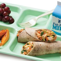 Thumbnail Eib 239 Cover image of Trends in USDA Foods Ordered for Child Nutrition Programs Before and After Updated Nutrition Standards
