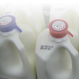 Thumbnail Err 300 Cover image of Examining the Decline in U.S. Per Capita Consumption of Fluid Cow’s Milk, 2003–18