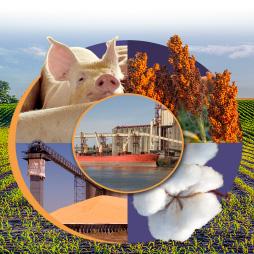 Thumbnail Err 304 Cover image The Economic Impacts of Retaliatory Tariffs on U.S. Agriculture