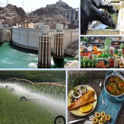 Tracking The U.S. Domestic Food Cover image of Tracking the U.S. Domestic Food Supply Chain’s Freshwater Use Over Time