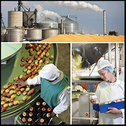 USDA's Value-Added Produce Grant Program and Its Efect on Business Survivial and Growth.JPG