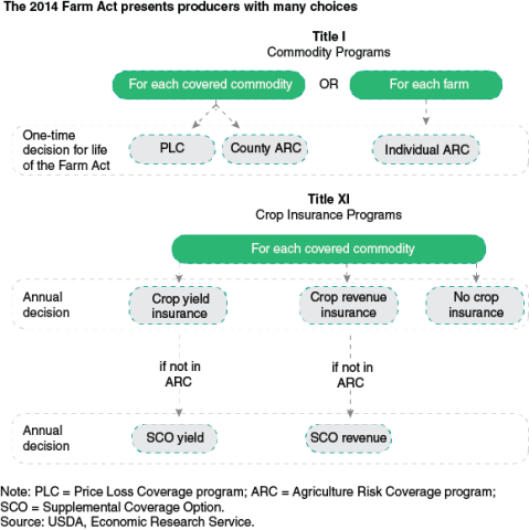 The 2014 Farm Act presents producers with many choices