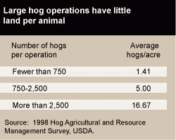 Large hog operations have little land per animal