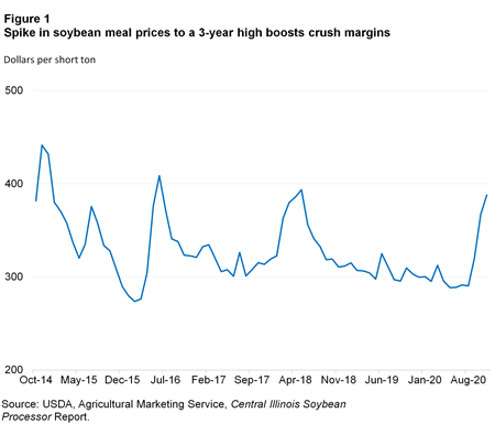 Spike in soybean meal prices to a 3-year high boosts crush margins