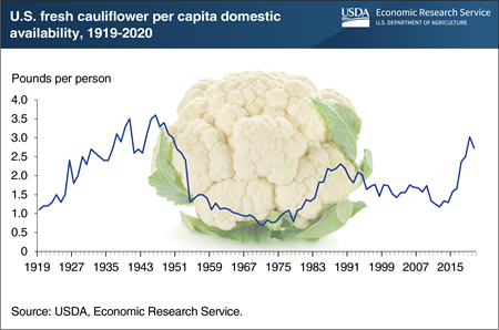 Cauliflower’s popularity re-emerges