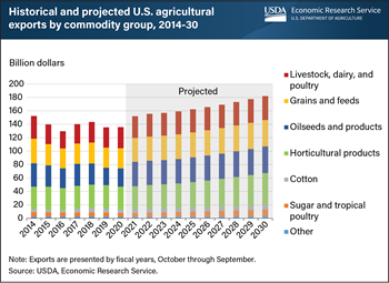 U.S. agricultural exports projected to strengthen in coming decade