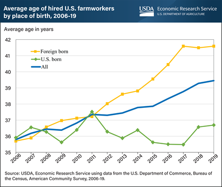 Average age of hired farm workforce increased from 2006 to 2019