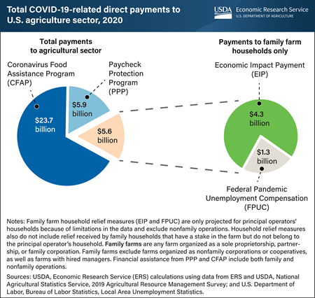 Family farm households received an estimated $5.6 billion in assistance from Economic Impact Payments and Federal Pandemic Unemployment Compensation in 2020