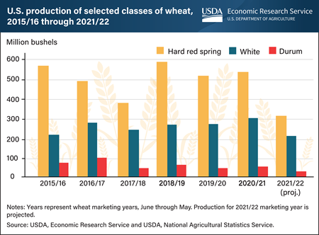 Drought dampens production and export prospects for key U.S. wheat classes