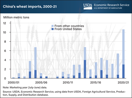 China’s wheat imports reach highest level in more than two decades