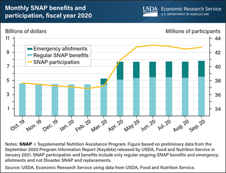Emergency allotments, participation increase led to 66-percent increase in SNAP benefits in second half of FY 2020