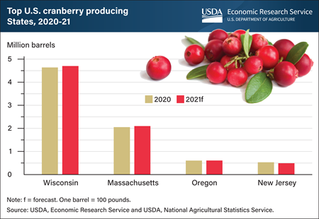 Cranberry production in top-producing States to increase modestly in 2021