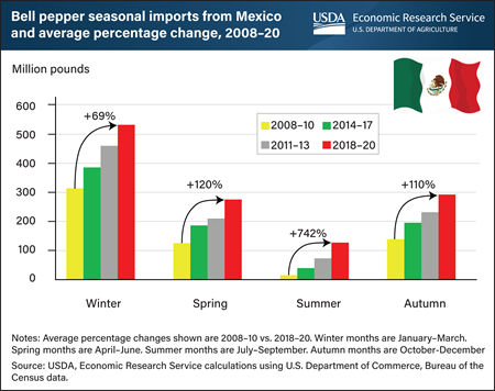 Imports of bell peppers from Mexico grow as marketing window for U.S.-grown produce shrinks