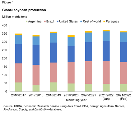 Global soybean production