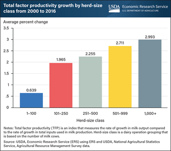 Larger dairy operations experienced faster productivity growth compared to smaller counterparts