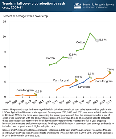 More farmers are adding fall cover crops to their corn-for-grain, cotton, and soybean fields