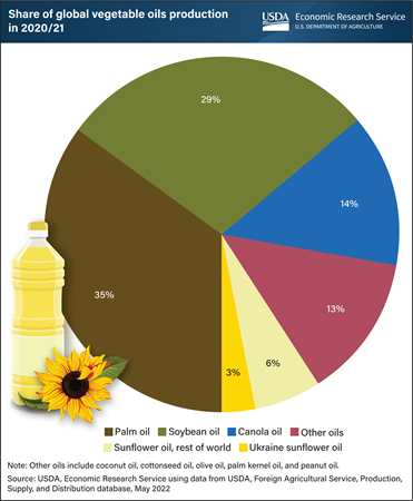 Sunflower oil production makes up 9 percent of all vegetable oil produced globally