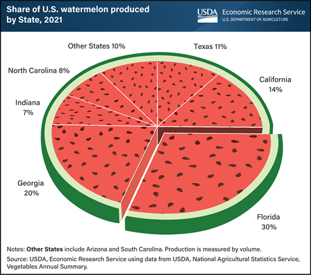 Most U.S. watermelon is produced in the South, with Florida leading output in 2021