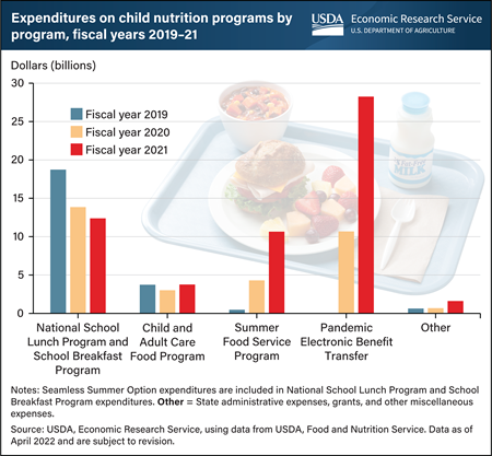 Spending on USDA’s two major school nutrition programs dropped from 2019 to 2021 as other programs filled pandemic-related gaps
