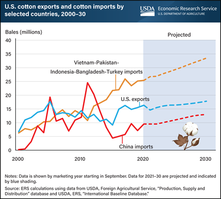 Textile manufacturing shifts out of China as global cotton exports directed to Asian competitors