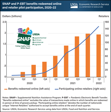 Online SNAP and P-EBT redemptions totaled $9.7 billion in first two years of pandemic