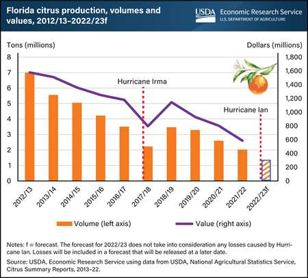 Florida’s declining citrus production receives further hit with Hurricane Ian; official losses not yet estimated