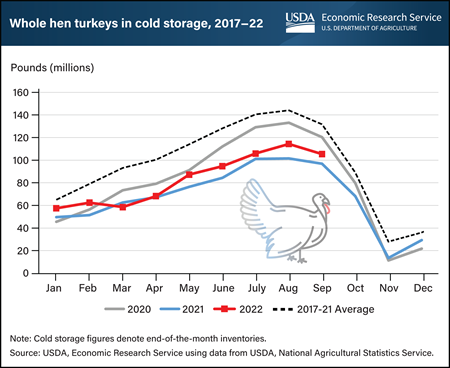 Ahead of Thanksgiving, August stocks of frozen whole hen turkeys up 12 percent from 2021 despite avian flu production woes