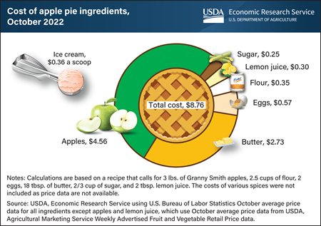 Rising food costs baked into Thanksgiving pies in 2022, no matter how you slice it