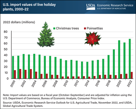 Bar chart showing imports of Christmas trees and poinsettias to the United States from 2000 to 2022.