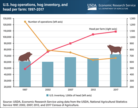 Number of U.S. hog operations declined between 1997 and 2017, while farm size and contract production increased