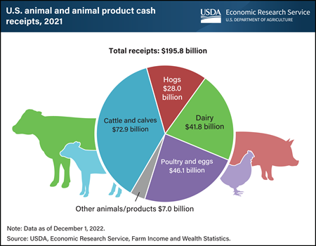 Cattle and calf receipts accounted for largest portion of U.S. animal and animal product receipts in 2021