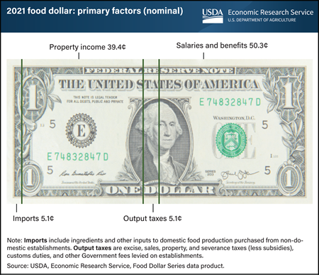 This is a dollar bill depicting the 2021 food dollar with lines showing the portion of the dollar for four primary factors: imports, property income, output taxes, and salaries and benefits.