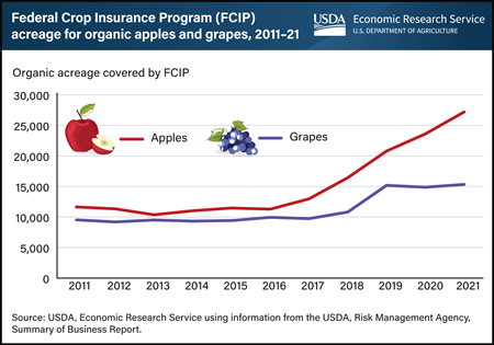Organic fruit acreage enrolled in the Federal Crop Insurance Program grew between 2011 and 2021